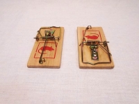 Muizenval, verpakking met 2 stuks